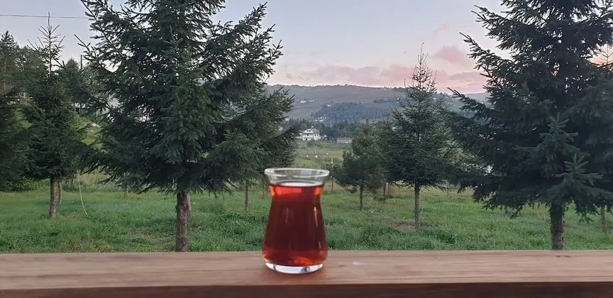 Elite Ağaç Ev
