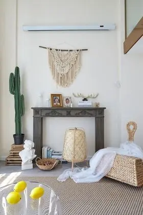 Design Çatı Katı (Loft)