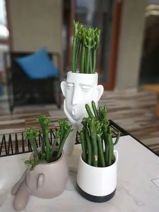 Design Tek Büyük Yataklı Oda