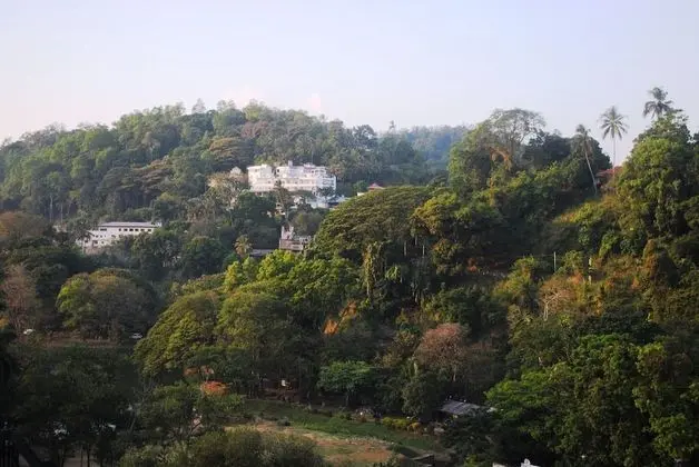 Dağ Evi, Dağ Manzaralı