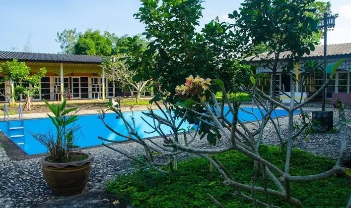 Superior Room, Terrace, Poolside Free Yoga