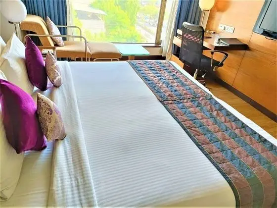 Deluxe Oda
