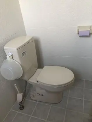 Ev