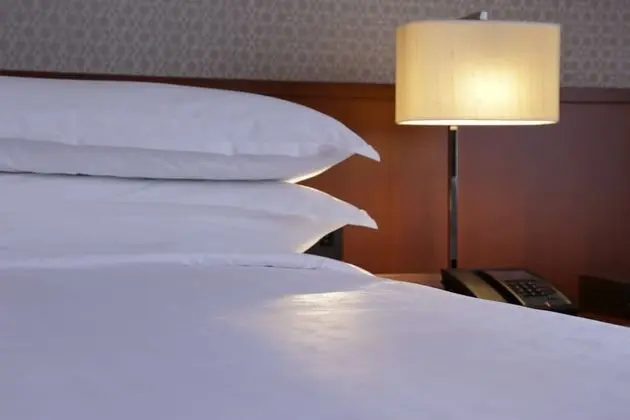 Oda, 2 Tek Kişilik Yatak, Şehir Manzaralı (Luxury Deluxe)