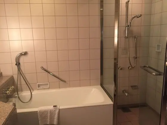 Deluxe İki Ayrı Yataklı Oda, Sigara İçilmez, Koy Manzaralı (67th Floor)