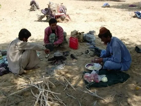 Economy Çadır, 1 Tek Kişilik Yatak, Okyanus Manzaralı, Okyanusa Sıfır