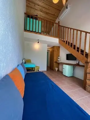 Tek Büyük Yataklı Oda, 1 Çift Kişilik Yatak, Sigara İçilmez, Bahçe Manzaralı