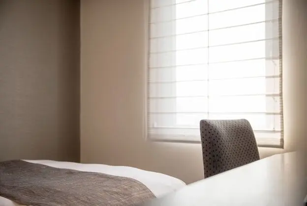 Superior Tek Kişilik Oda, 1 Çift Kişilik Yatak