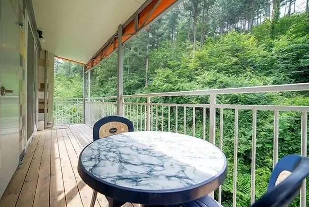 Tek Büyük veya İki Ayrı Yataklı Oda (Dalrim (Moon)1)