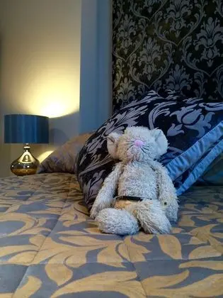 Standard Tek Büyük Yataklı Oda, Banyolu/Duşlu