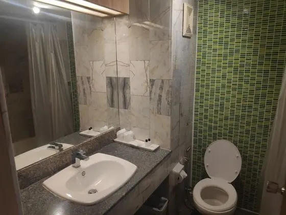 Executive Tek Büyük veya İki Ayrı Yataklı Oda