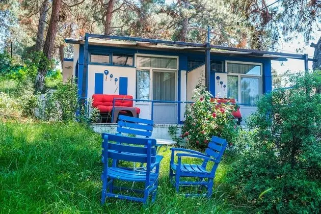 Standard Bungalov, Bahçe Manzaralı
