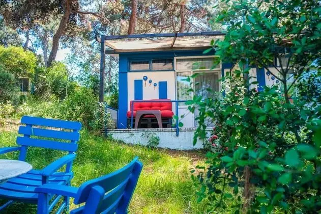 Standart Oda, Bahçe Manzaralı