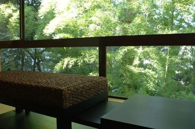 Executive Süit (Japanese Style, Futons, Open Air Bath)