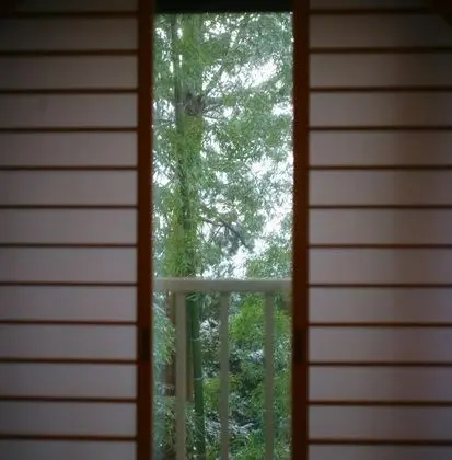 Executive Süit (Japanese Style, Futons, Open Air Bath)