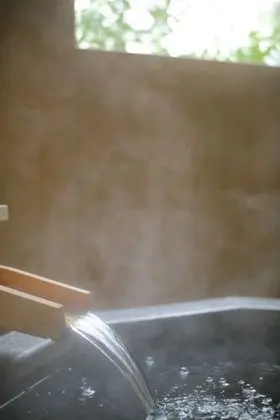 Executive Süit (Japanese Style, Futons, Open Air Bath)