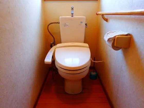 Standard Kır Evi