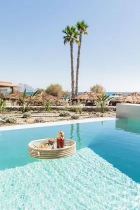 Premium Aqua View Swim-up