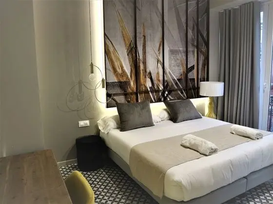 Superior Tek Büyük veya İki Ayrı Yataklı Oda