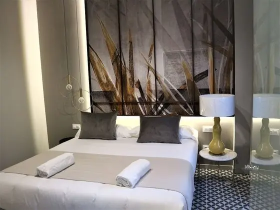 Superior Tek Büyük veya İki Ayrı Yataklı Oda