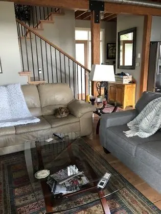 Comfort Ev