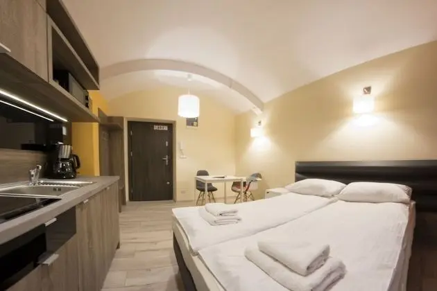Stüdyo (Apartment level -1 Mickiewicza Street)