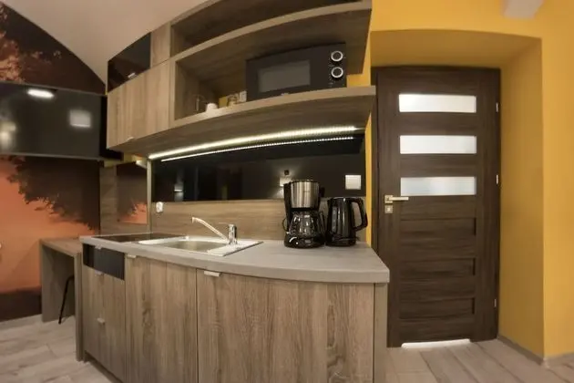 Stüdyo (Apartment level -1 Mickiewicza Street)