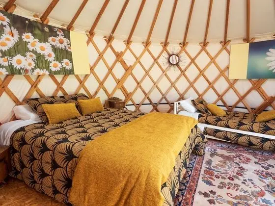 Comfort Çadır, Dağ Yamacı