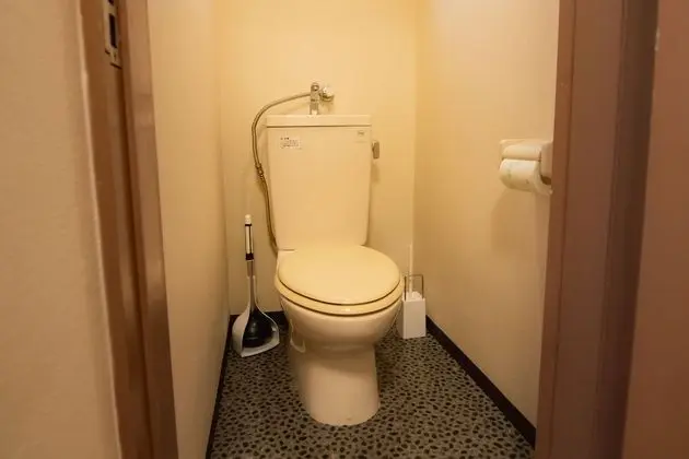 Traditional Apart Daire