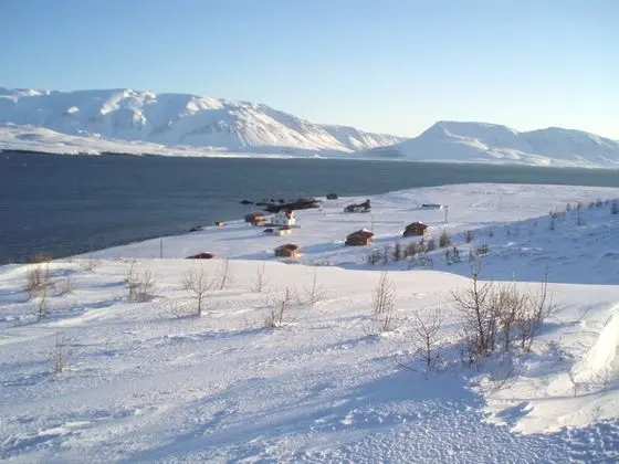 Basic Villa, 5 Yatak Odası