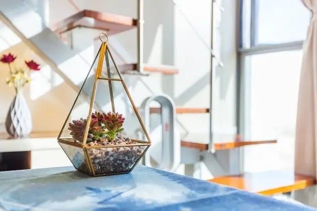 Elite Çatı Katı (Loft)