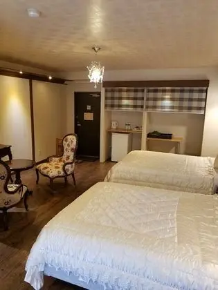 Deluxe İki Ayrı Yataklı Oda
