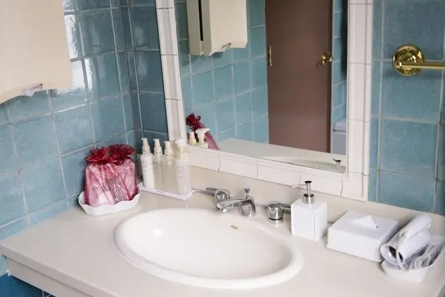 Deluxe İki Ayrı Yataklı Oda, Sigara İçilmez (Adults [13 years and older] Only)
