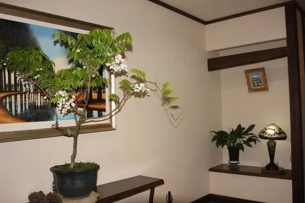 Standard Oda, Ek Bina (Japanese, with Private Open-air Bath)