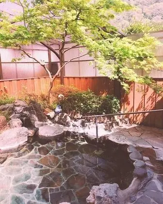 Traditional Dört Kişilik Oda, Dağ Manzaralı (Japanese Style)