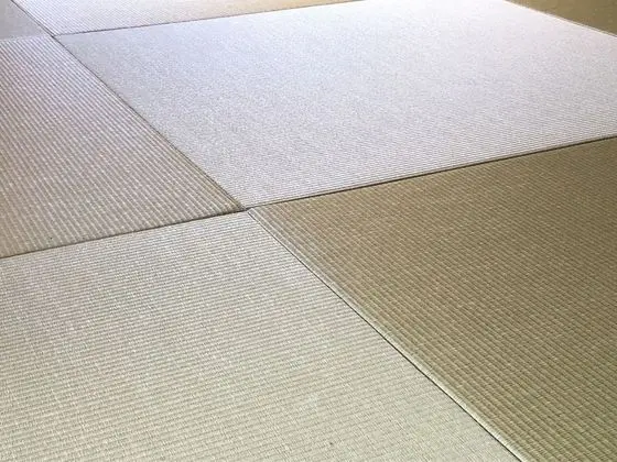 Ev (Yuki An)