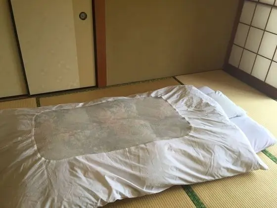 Traditional Oda (Japanese Style)