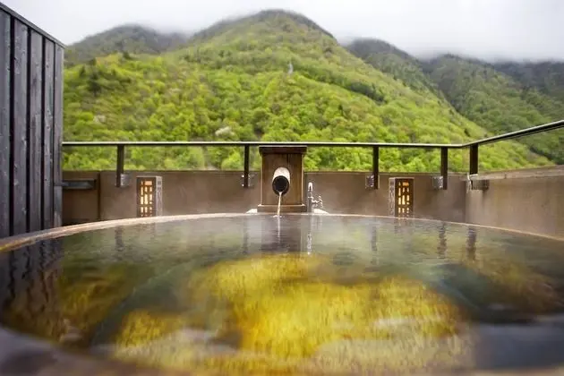 Traditional Oda, Sigara İçilmez, Dağ Manzaralı (Japanese Style with Open Air Bath)