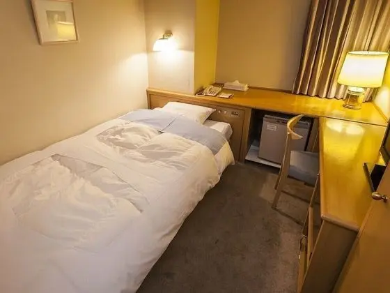 Business Tek Kişilik Oda, Sigara İçilmez, Ortak Banyo