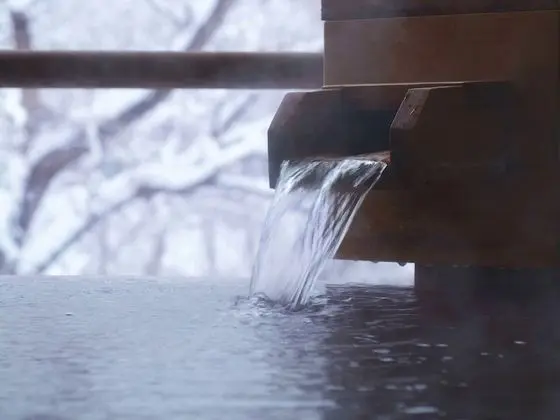 Traditional Oda, Sigara İçilmez (Japanese Style Twin Hot Spring 316)