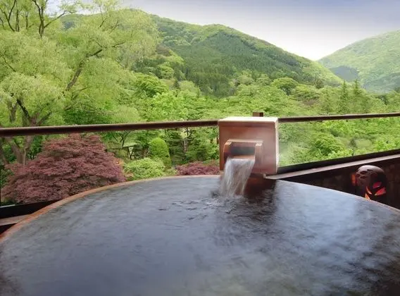 Traditional Oda, Sigara İçilmez (Japanese Style Twin Hot Spring 316)