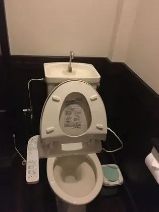 Traditional Oda, Sigara İçilebilir, Ortak Banyo (Japanese Style)