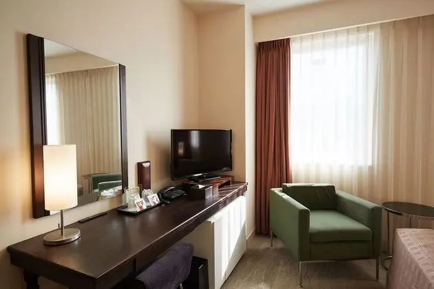 Standard Tek Büyük Yataklı Oda, Sigara İçilmez