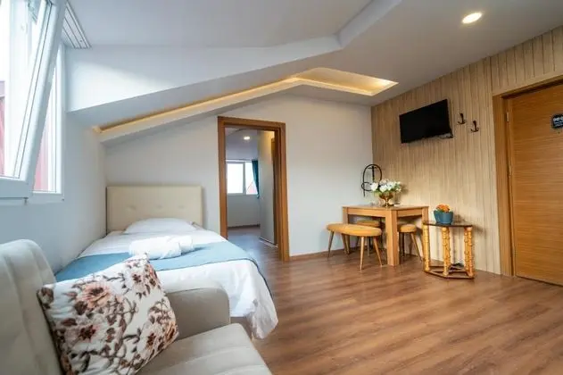Penthouse, Şehir Manzaralı, Klimalı