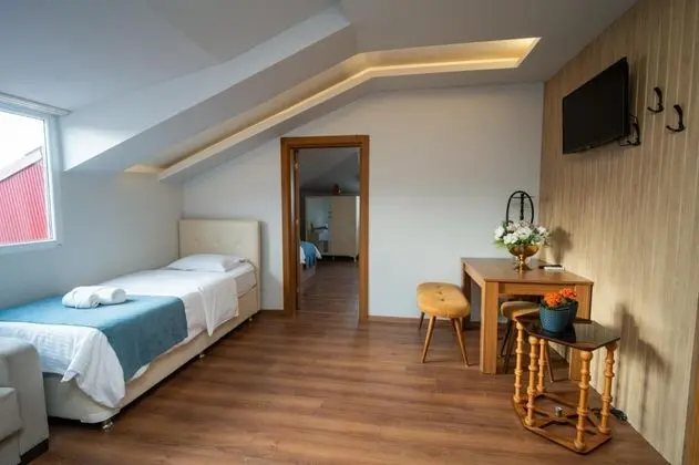 Penthouse, Şehir Manzaralı, Klimalı