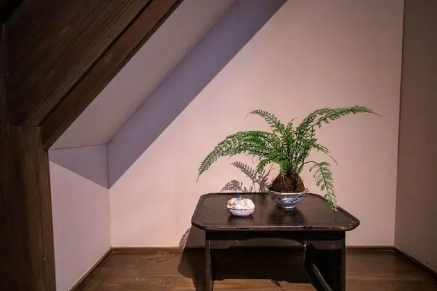 Traditional Oda (Japanese Style, MOEGI)