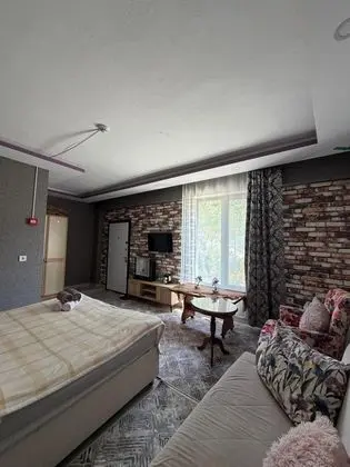 Standart Oda, Dağ Manzaralı, Balkonlu