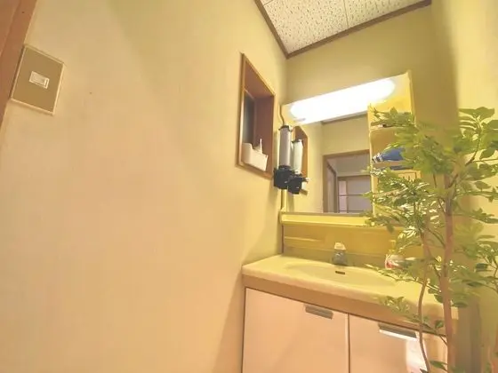 Ev (Yuzawa Japanese House)