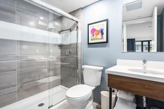 Superior Tek Büyük Yataklı Oda, 1 Büyük (Queen) Boy Yatak, Özel Banyo