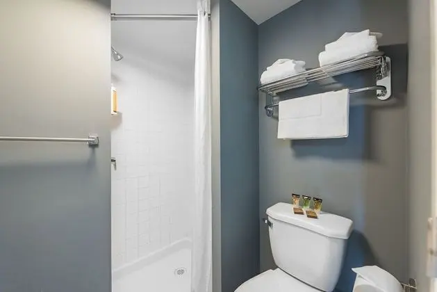Tek Büyük Yataklı Oda, 2 Çift Kişilik Yatak, Özel Banyo